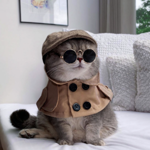 Fundraising Page: Aaron Chen